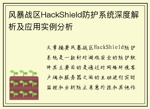 风暴战区HackShield防护系统深度解析及应用实例分析